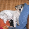 ostern08 014.jpg